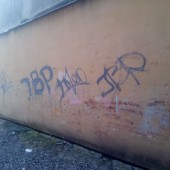 Kolejni wandale ujęci.