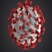 Koronawirus